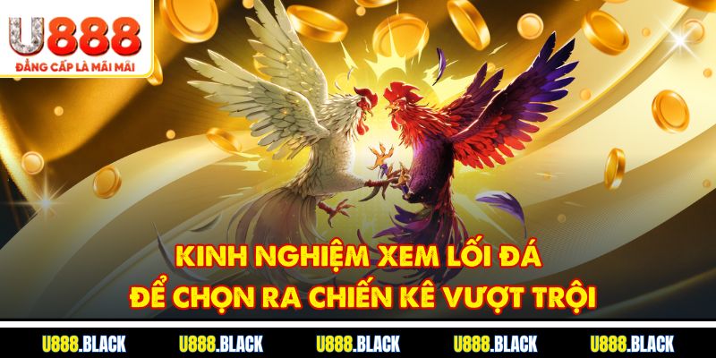 Kinh nghiệm xem lối đá để chọn ra chiến kê vượt trội